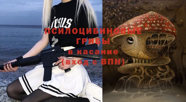 амф Алексин