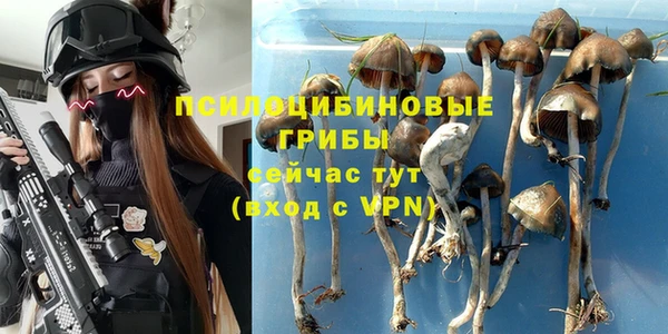 амф Алексин